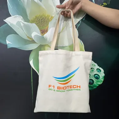 Túi Vải Canvas In Logo Theo Yêu Cầu – Túi Tote Quà Tặng Doanh Nghiệp