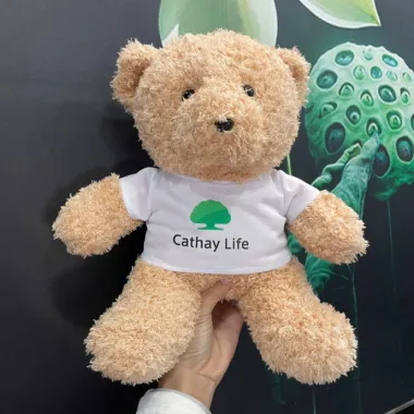 Gấu Bông In Logo Theo Yêu Cầu – Gấu Teddy Mặc Áo Thun In Logo Doanh Nghiệp, Quà Tặng Thương Hiệu