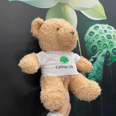 Gấu Bông In Logo Theo Yêu Cầu – Gấu Teddy Mặc Áo Thun In Logo Doanh Nghiệp, Quà Tặng Thương Hiệu