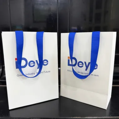 Túi Giấy In Logo Theo Yêu Cầu – Sản Xuất Túi Giấy Cao Cấp Cho Doanh Nghiệp