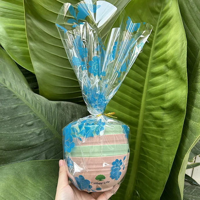 Bộ Ly Nhựa Quà Tặng In Logo – Ly Nhựa Doanh Nghiệp Theo Yêu Cầu