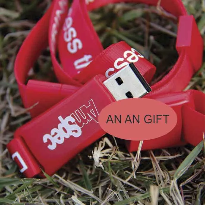 SS 02 - USB GIÁ RẼ HCM - USB IN ẤN LOGO THEO YÊU CẦU