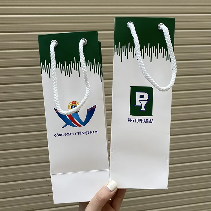 Túi giấy đứng tay xách dây dù in logo quà tặng hội nghị