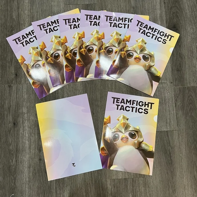 In Bìa Folder Nhựa PP Thiết Kế Theo Yêu Cầu – Bìa Lá In Hình Game, Nhân Vật