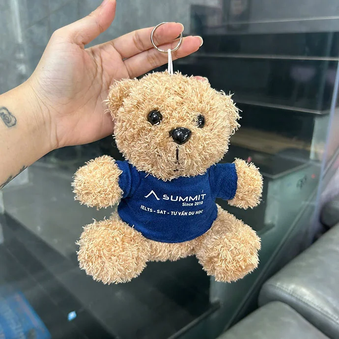 Gấu Bông In Theo Yêu Cầu – Thiết Kế Độc Đáo, Quà Tặng Dễ Thương