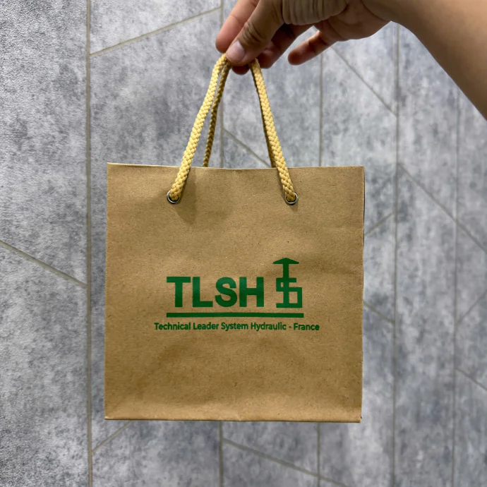Túi Giấy In Logo Theo Yêu Cầu – Túi Giấy Kraft Quà Tặng Doanh Nghiệp